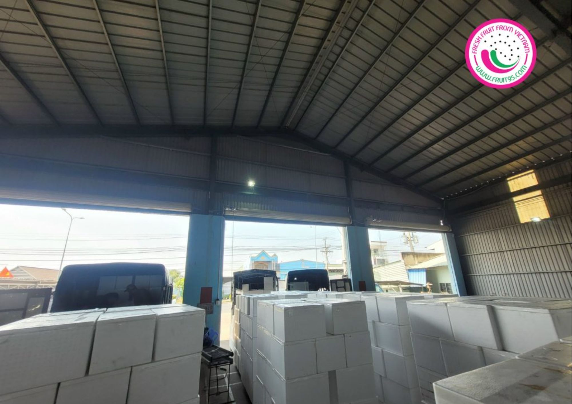 FRUIT95 WAREHOUSE