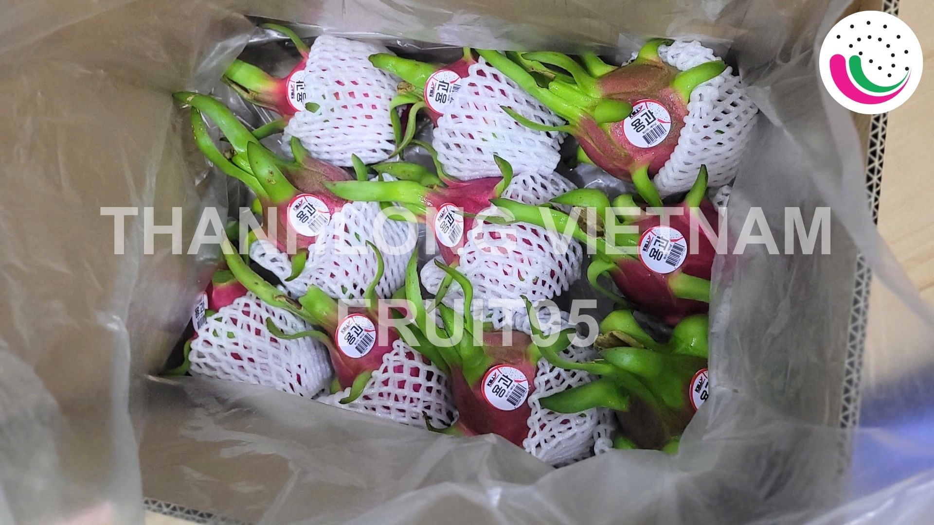 dragonfruit