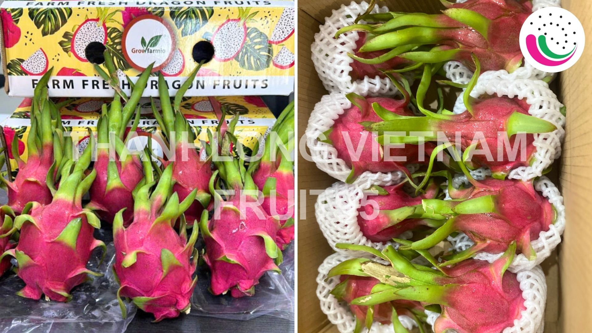 dragonfruit