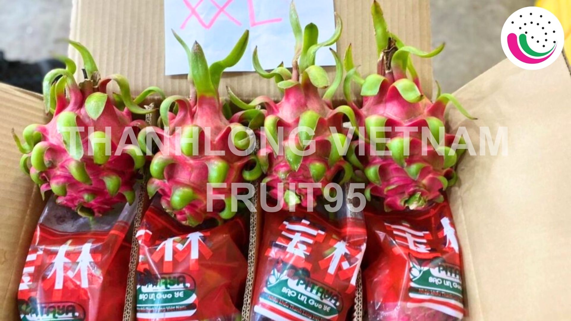 dragonfruit