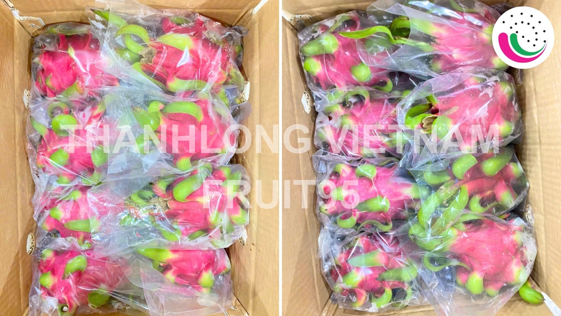 dragonfruit
