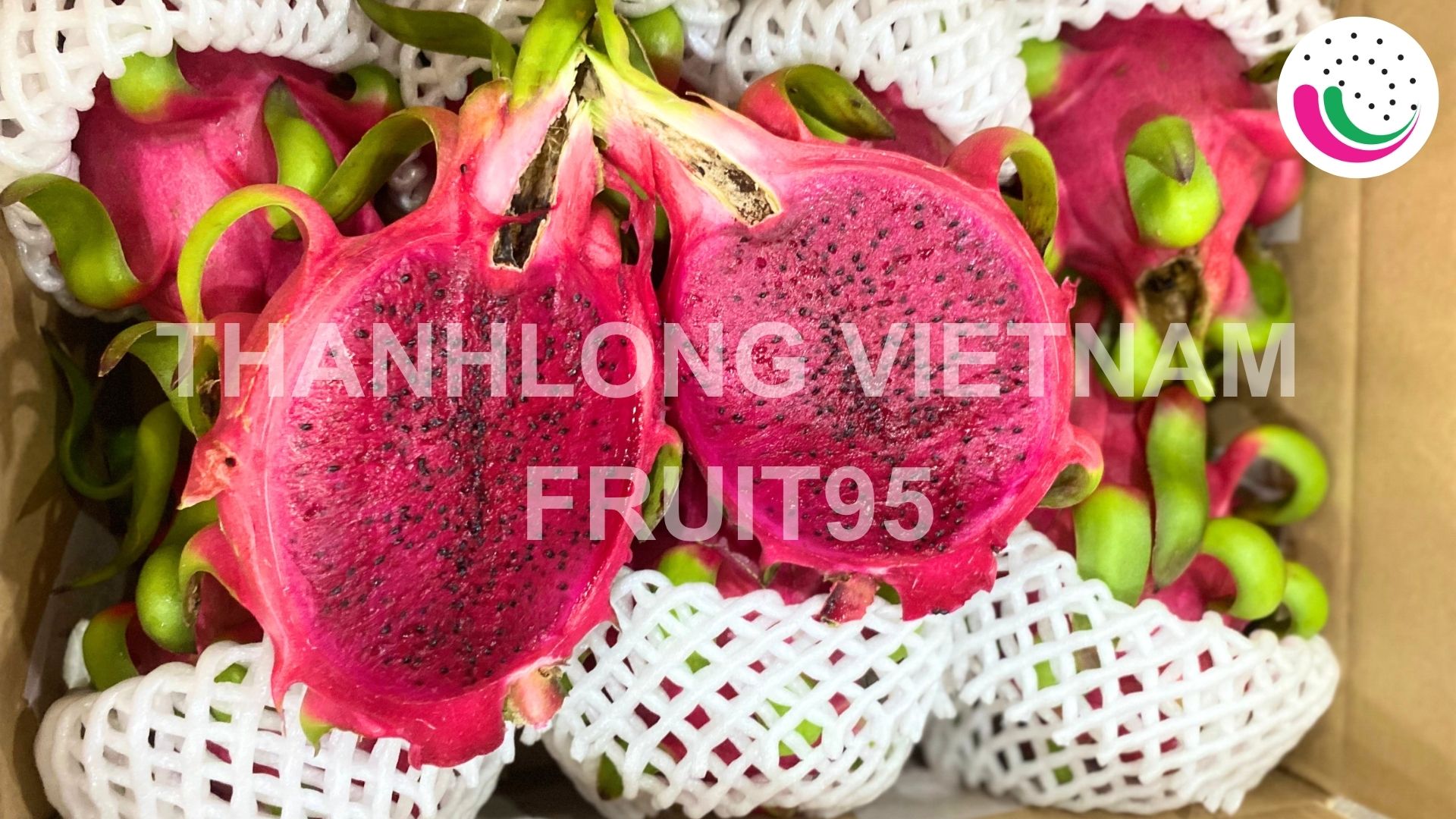 dragonfruit