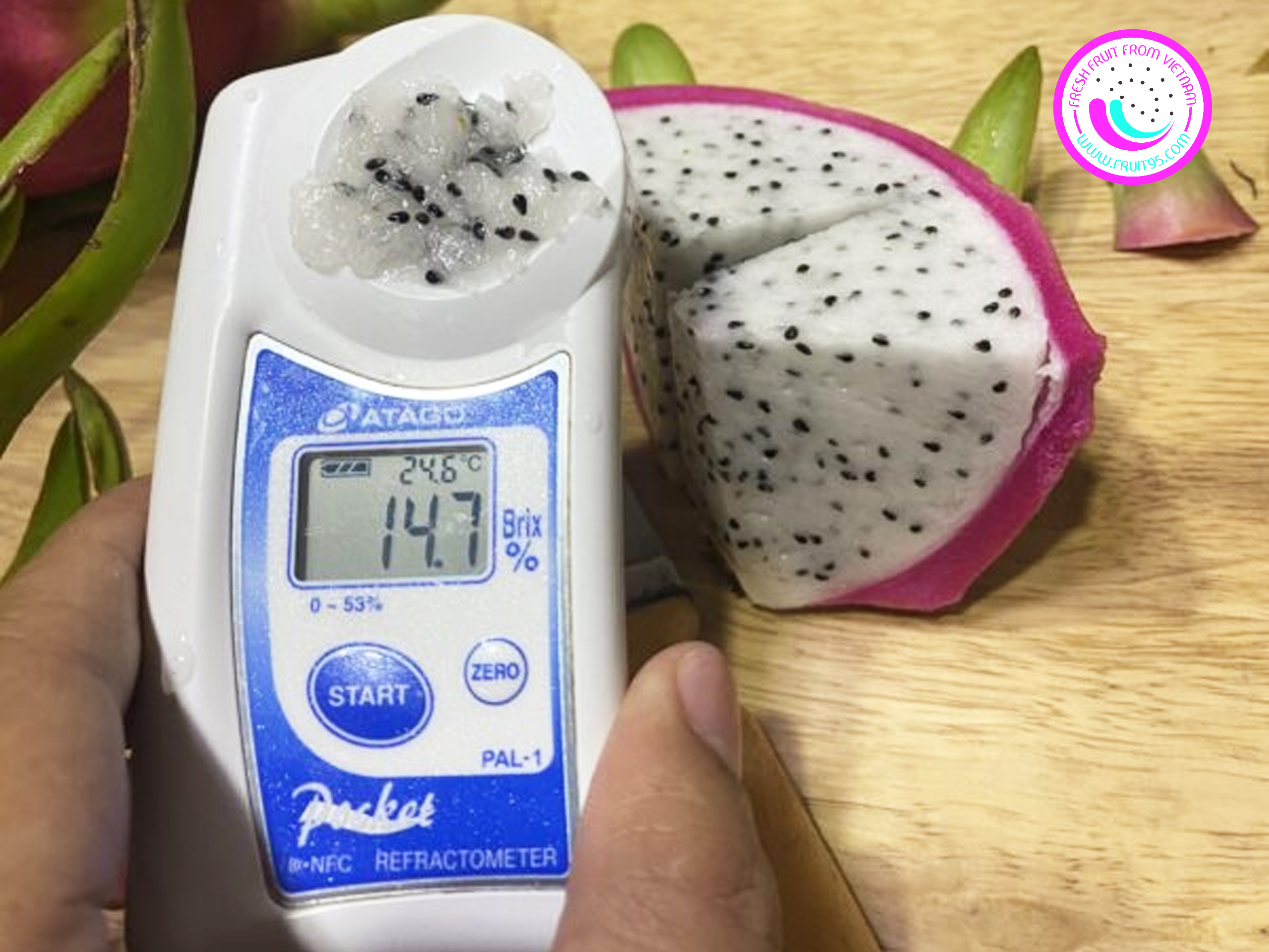 fruit95.com-thanh-long-ruot-trang-xuat-khau-han (1)