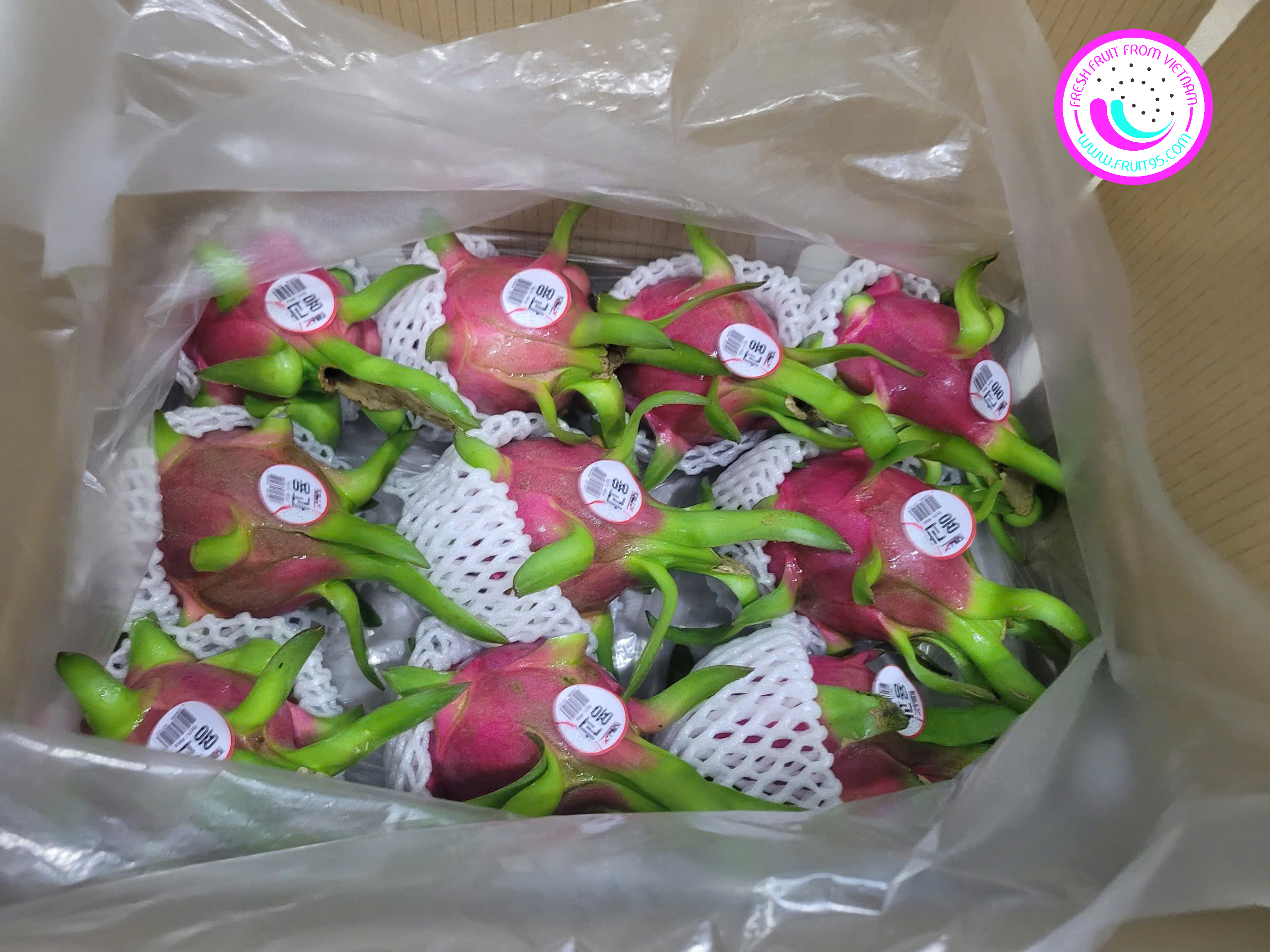 fruit95.com-thanh-long-ruot-trang-xuat-khau-han (3)