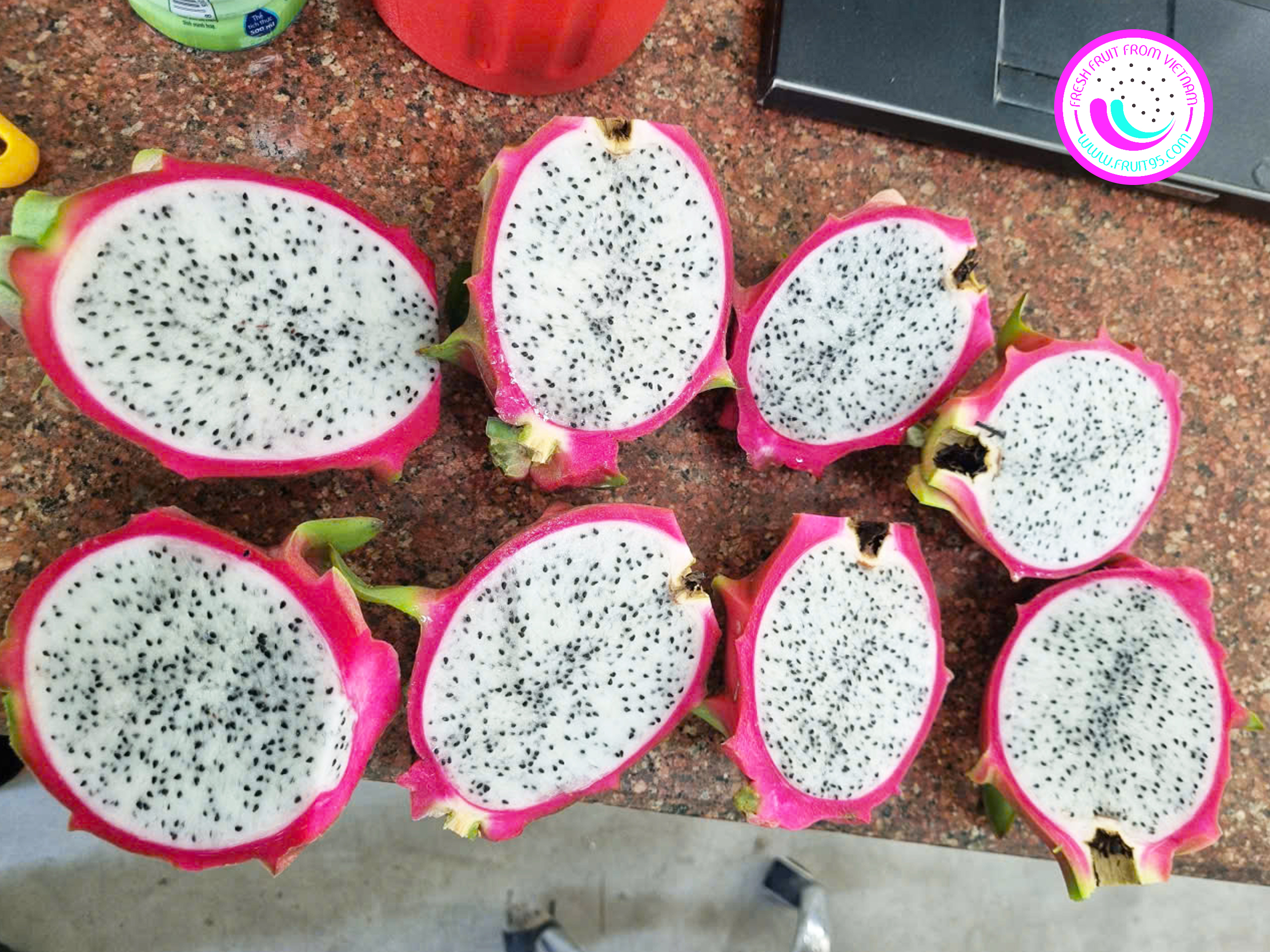 fruit95.com-thanh-long-ruot-trang-xuat-khau-han (6)